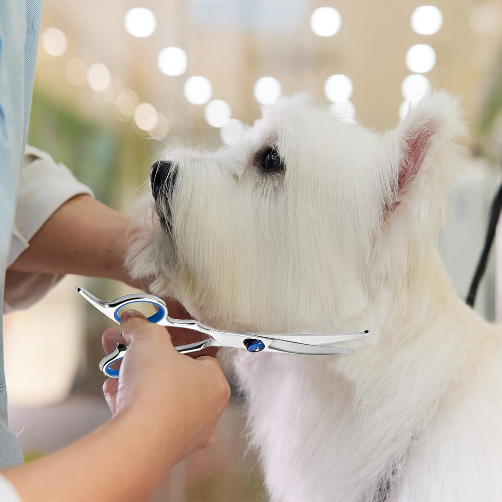 Curved Dog & Cat Grooming Scissors